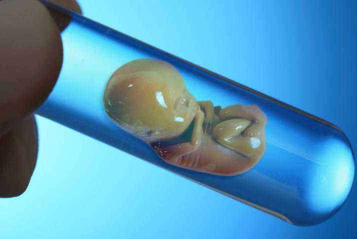 选择供卵试管怎么样选卵妹,试管婴儿前为什么男女双方都要做染色体检查?-移植